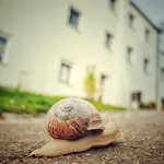 Quartier 3punkt0 Alte Steigerbaude Bad Gottleuba