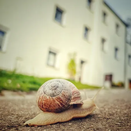 Quartier 3punkt0 Alte Steigerbaude Bad Gottleuba
