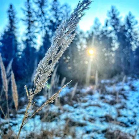 Quartier 3punkt0 Alte Steigerbaude Accommodatie bij particulieren