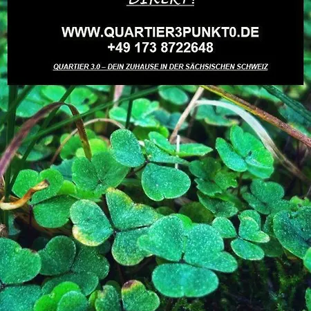 Accommodatie bij particulieren Quartier 3punkt0 Alte Steigerbaude *