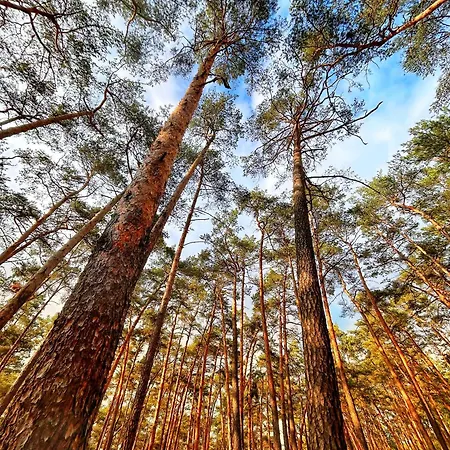 Quartier 3punkt0 Alte Steigerbaude Accommodatie bij particulieren Bad Gottleuba